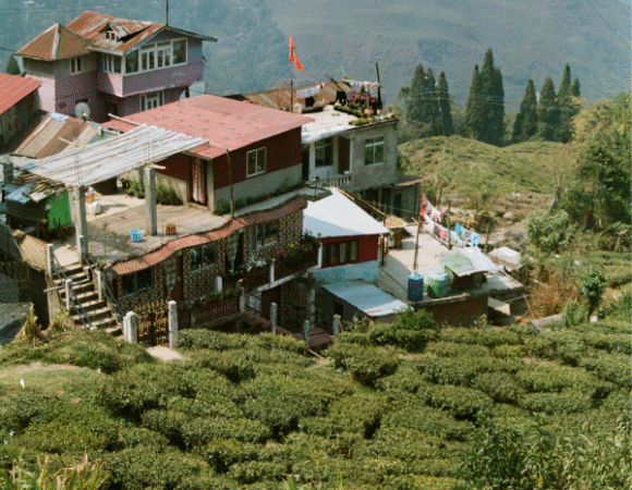Himachal - Bir, Rajghunda, Jibhi, Kasol & Kalga Adventure Tour
