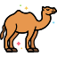 Rajasthan